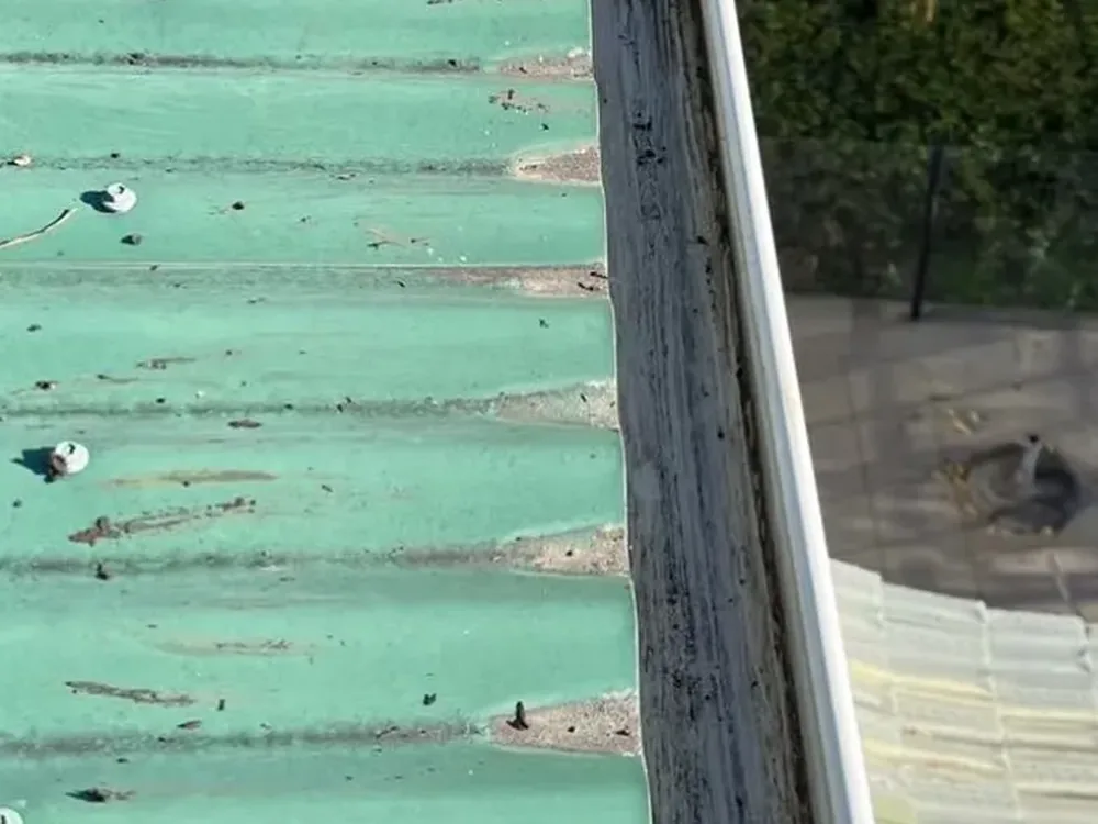 After: gutter cleaning result in Melbourne's Eastern Suburbs