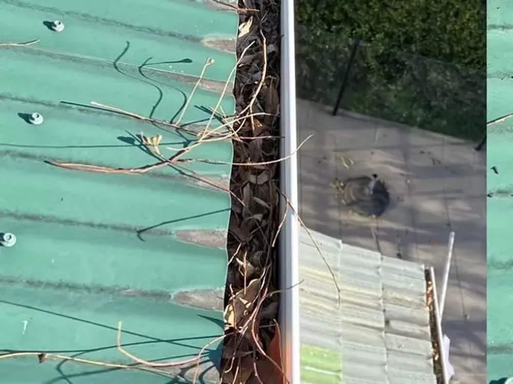 Before: gutter cleaning in Melbourne's Eastern Suburbs