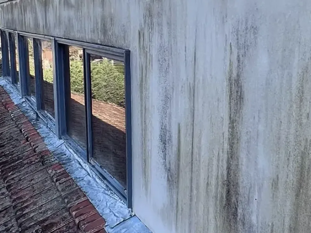 Before: soft washing in Melbourne's Eastern Suburbs