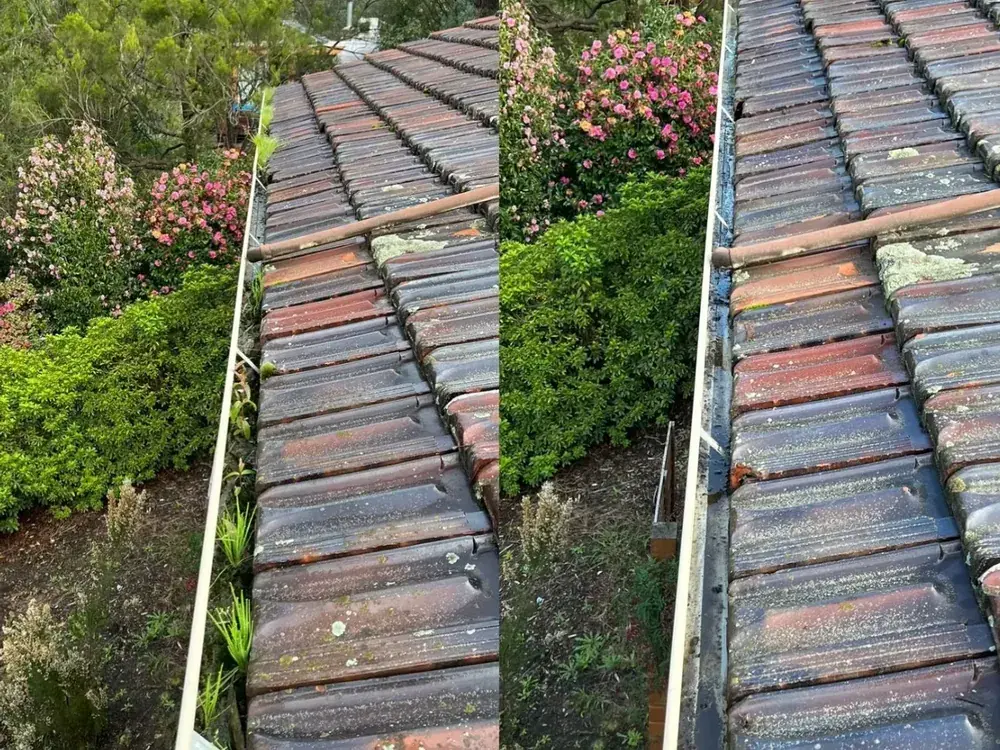 Roofline protected — gutter cleaning in Melbourne's Eastern Suburbs