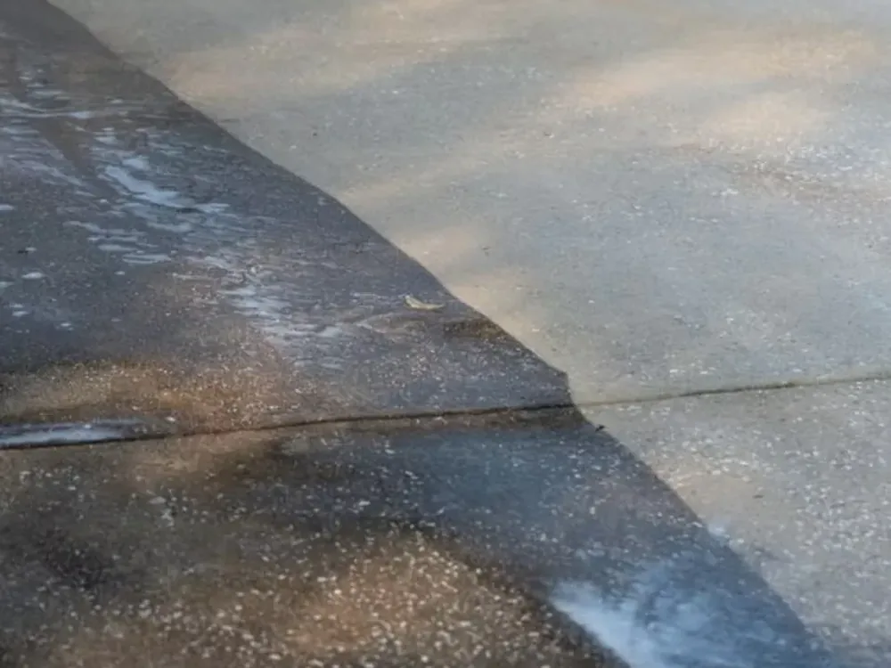 Moss & algae removed — pressure washing in Melbourne's Eastern Suburbs