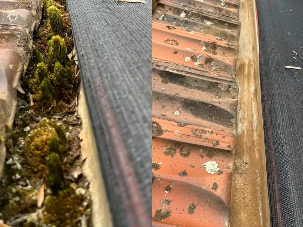 Render refreshed — soft washing in Melbourne's Eastern Suburbs