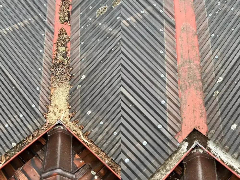 Roofs treated — soft washing in Melbourne's Eastern Suburbs