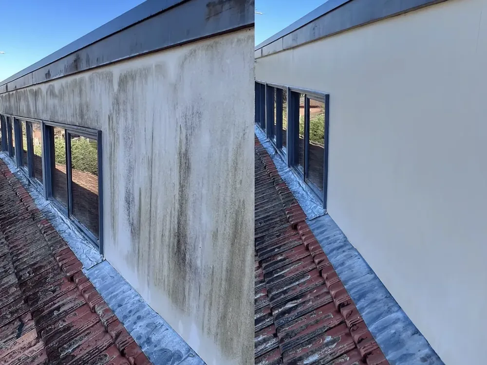 Mould removed at the root — soft washing in Melbourne's Eastern Suburbs