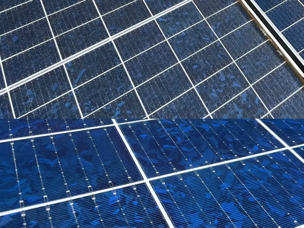 Dust & droppings removed — solar panel cleaning in Melbourne's Eastern Suburbs