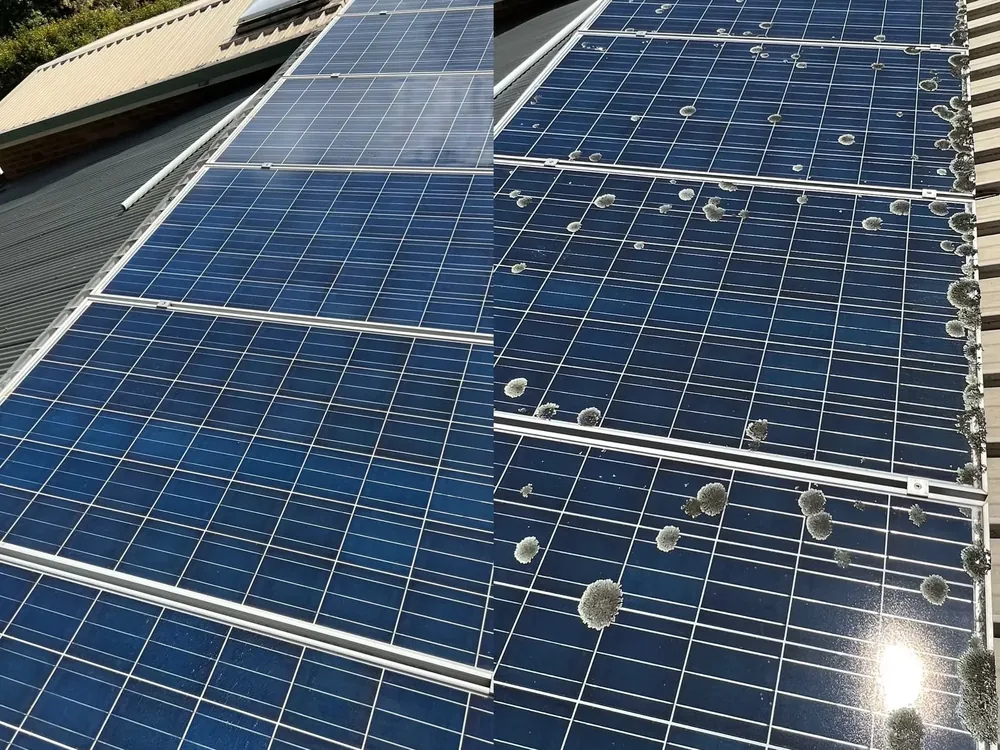 Pure-water finish — solar panel cleaning in Melbourne's Eastern Suburbs