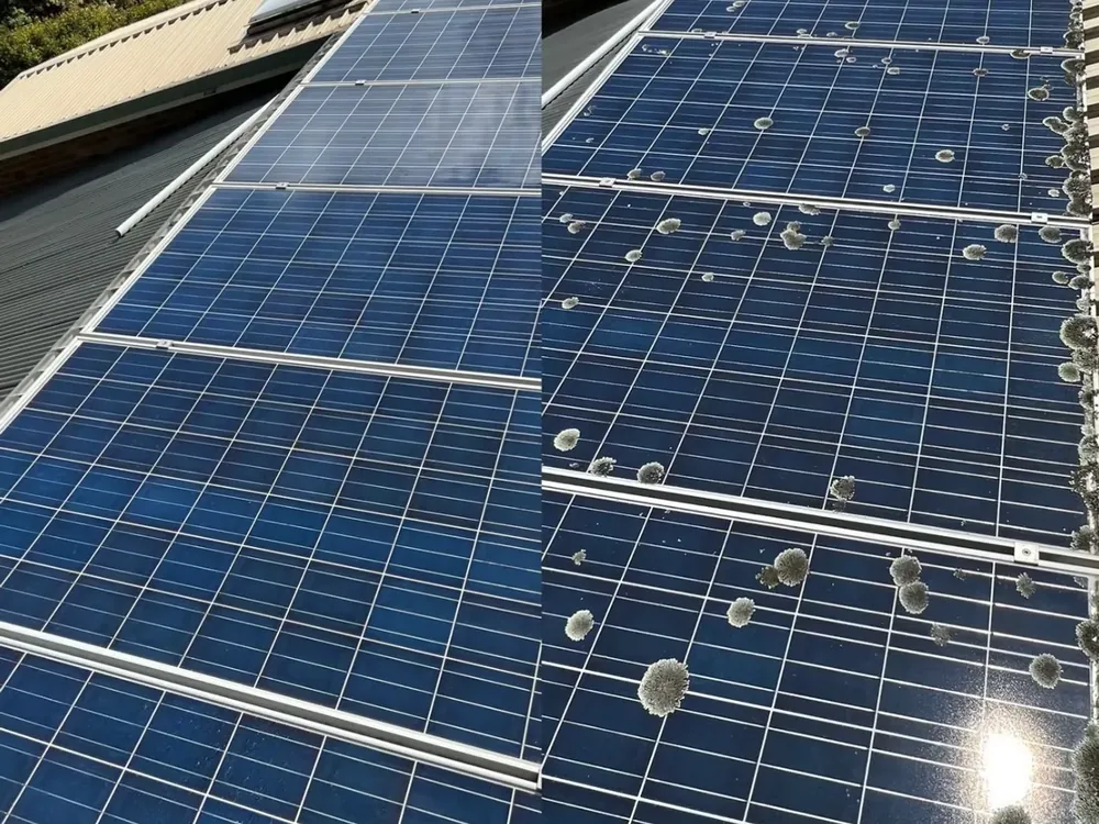 Solar panel cleaning in progress on a Melbourne rooftop